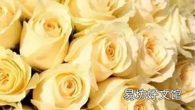 收藏 100种花的花语大全，100种花的花语太全了