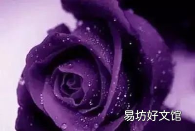 收藏 100种花的花语大全，100种花的花语太全了