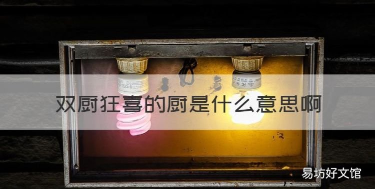 双厨狂喜的厨是什么意思,双厨狂喜的双厨是什么意思