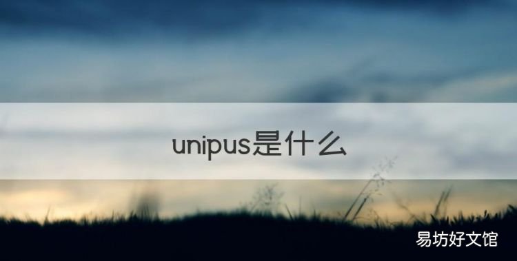 unipus是什么