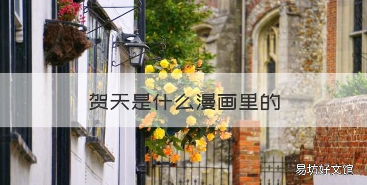 贺天是什么漫画里的,贺天莫关山是什么漫画,叫什么名?