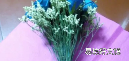怎样包装鲜花时尚花束，包花技巧 新款式学包花小窍门