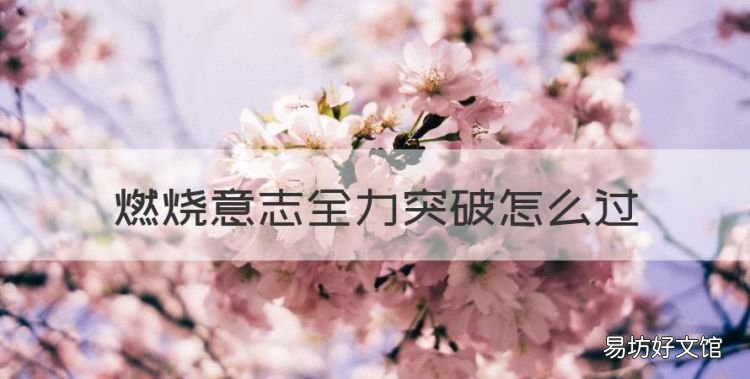 燃烧意志全力突破怎么过,航海王燃烧意志大将的实力怎么过