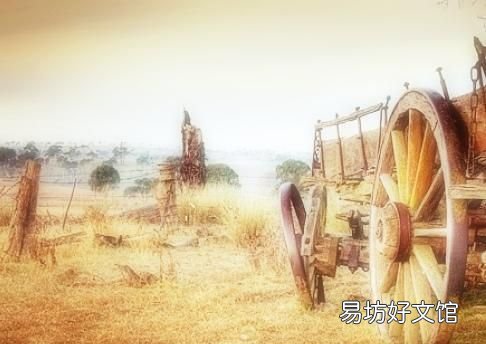 四不像是什么意思,四不像是什么动物?真的存在吗