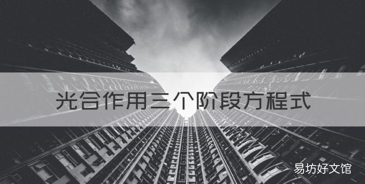 光合作用三个阶段方程式，光合作用每个阶段的反应方程式