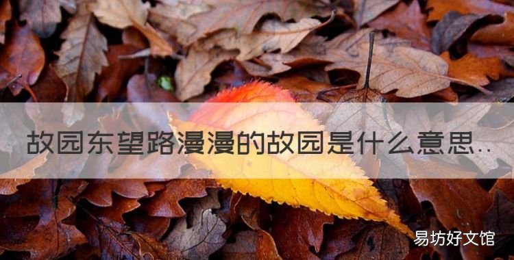故园东望路漫漫的下一句是什么,故园东望路漫漫的故园是什么意思