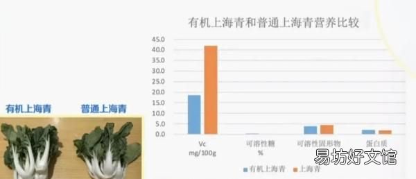 土豆的vc含量是苹果的10倍吗,有机蔬菜真的比普通蔬菜更有营养吗?