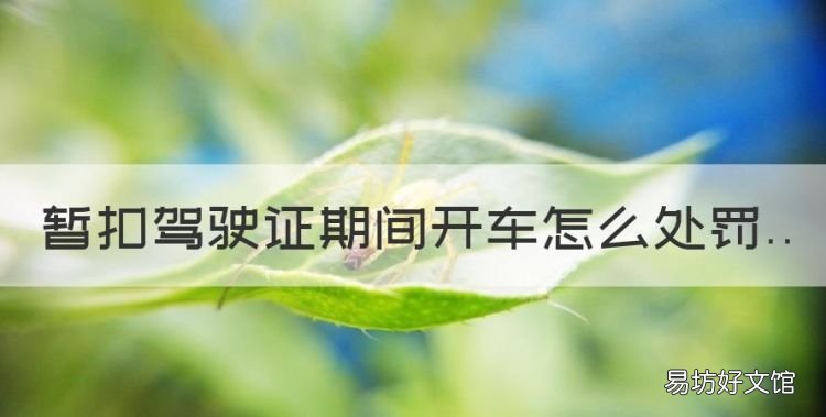 暂扣驾驶证期间开车怎么处罚