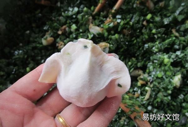 韮菜鸡蛋馅饺子的做法，鸡蛋韭菜馅饺子的做法 说明性文章