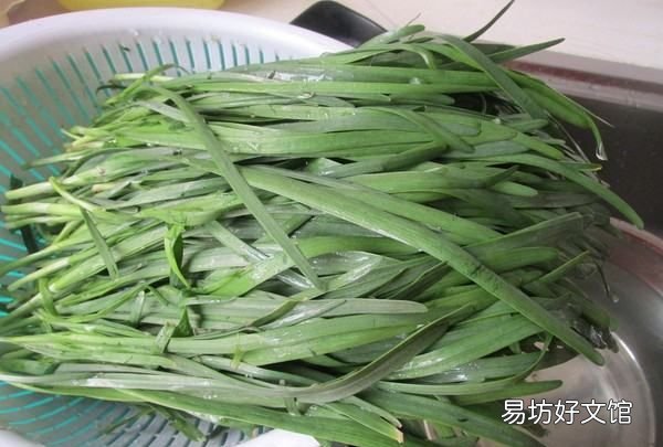 韮菜鸡蛋馅饺子的做法，鸡蛋韭菜馅饺子的做法 说明性文章