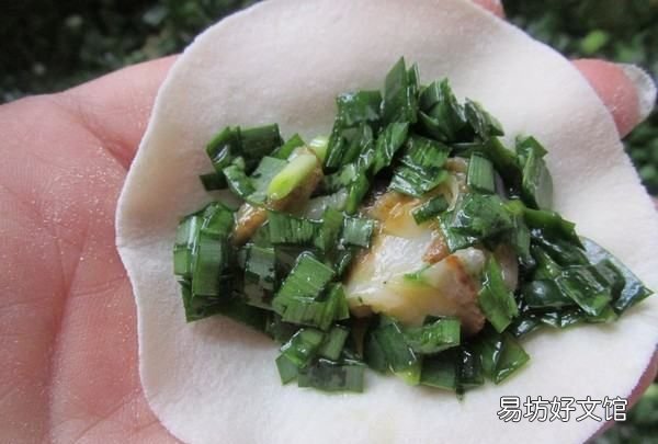 韮菜鸡蛋馅饺子的做法，鸡蛋韭菜馅饺子的做法 说明性文章