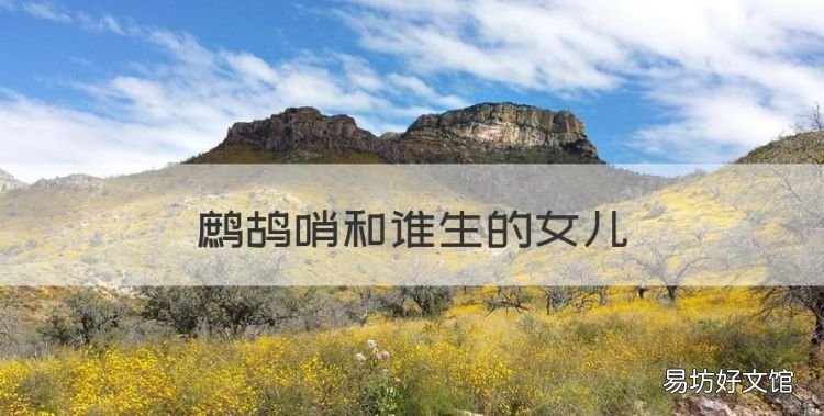 鹧鸪哨和谁生的女儿，《龙岭迷窟》鹧鸪哨为什么最终去了美国呢