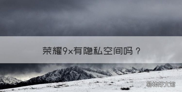 荣耀9x有隐私空间，华为荣耀9x现在多少钱