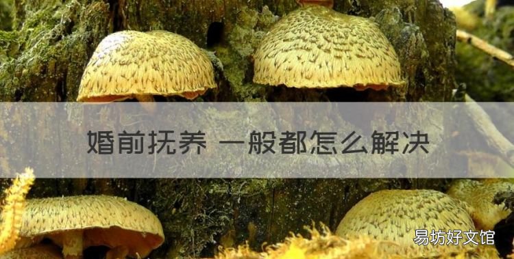 婚前子女抚养权怎么判，婚前抚养費一般都怎么解决