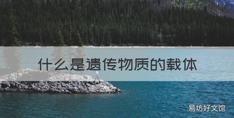 什么是遗传物质的载体,遗传物质的主要载体是什么