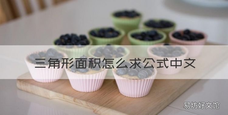 三角形面积怎么公式中文，焦三角形的面积公式是什么