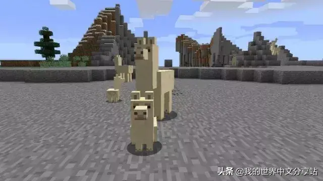 1分钟快速驯服羊驼技巧 我的世界怎么驯服羊驼当坐骑