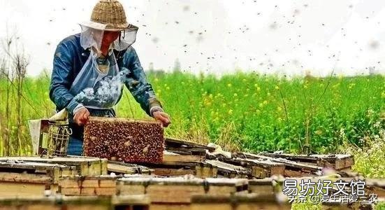 分享8個農村養殖好項目 適合窮人養殖創業的項目