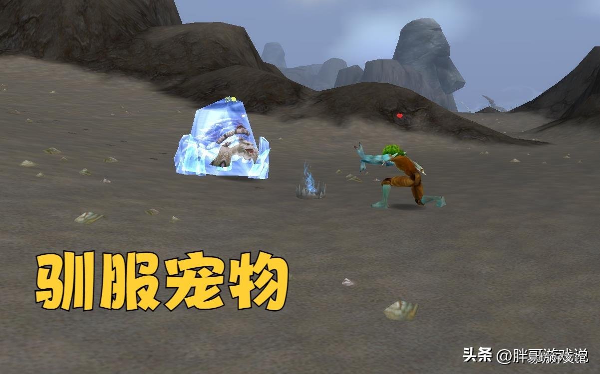 猎人宠物机制详解 魔兽猎人宝宝大全带图