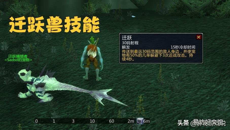 猎人宠物机制详解 魔兽猎人宝宝大全带图