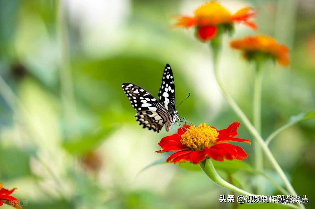 简述富士相机使用真实感受 富士相机怎么样好用吗