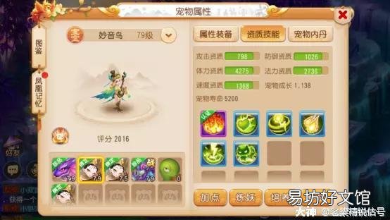 平民最厉害的技能加点指南 梦幻西游普陀最佳加点攻略