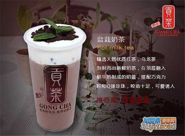 贡茶官方网加盟费用明细 加盟贡茶奶茶店大概要多少钱