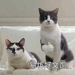 一看就会的6个投屏方法 手机电视同屏最简单方法
