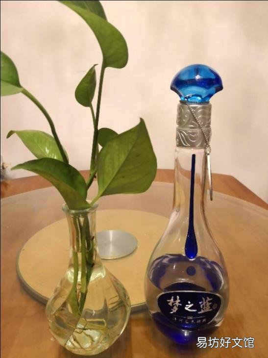 介绍梦之蓝M3的价格和品鉴评价 梦之蓝M3价格和品鉴评价