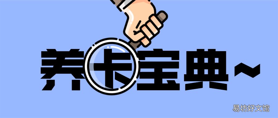 新手养卡提额注意事项 账单日前还款是大忌