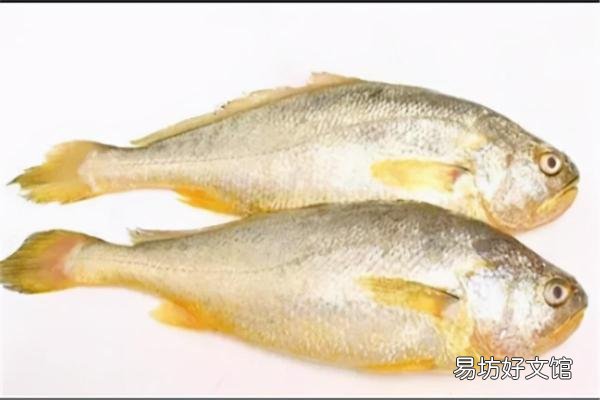 介绍长江中十种名贵的鱼类 长江名贵鱼前十名