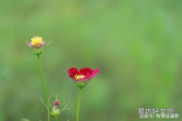24-105镜头应用范围及特点 24一105镜头能一镜走天下吗
