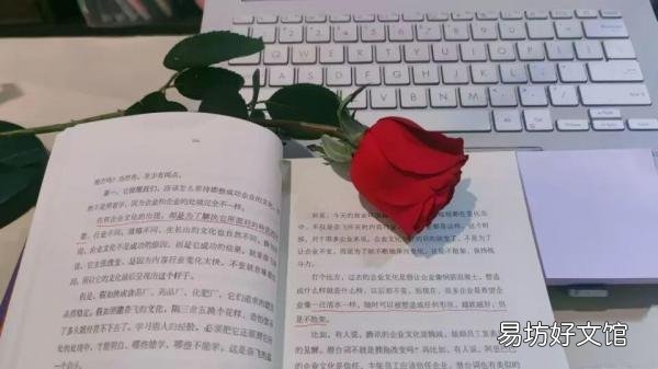 让头条文章的阅读率提升50%技巧 头条什么样的文章吸引人