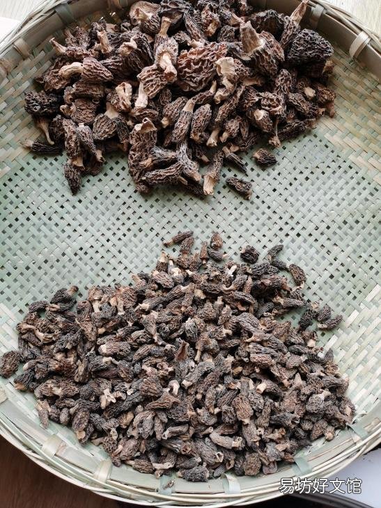 介绍一下鲜羊肚菌的价格情况 鲜羊肚菌价格参考