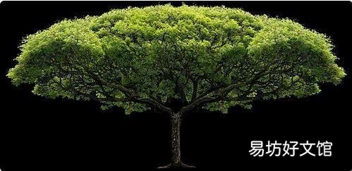 超详细修改尺寸步骤大全 手机怎么调整照片二寸