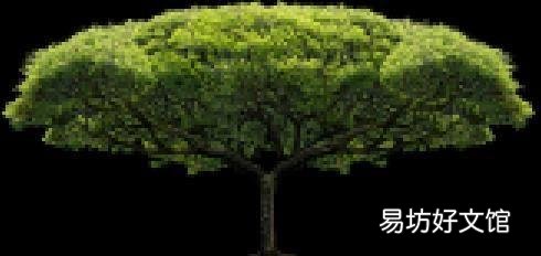 超详细修改尺寸步骤大全 手机怎么调整照片二寸