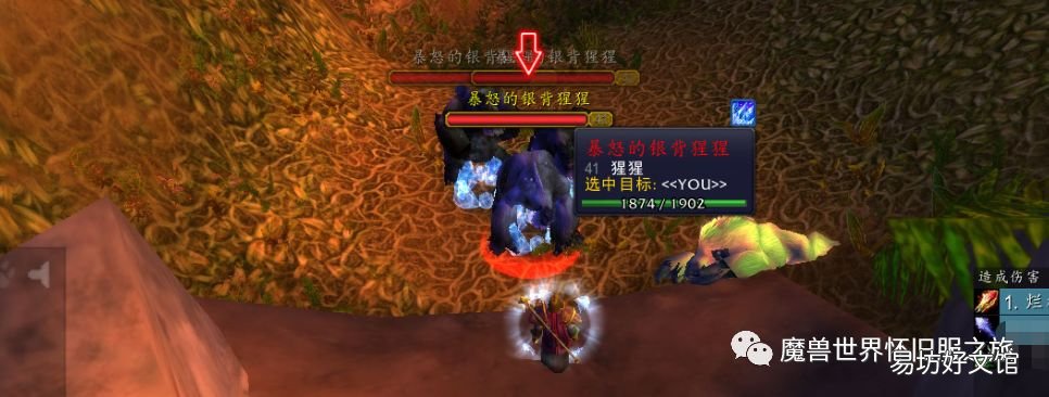 怀旧服出厚皮最多的地方 魔兽世界怀旧服重皮哪里怪多