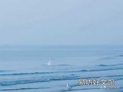 15句打动女人心的表白情话 男生对女生表白的情话