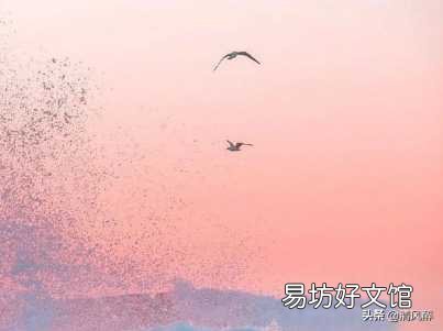 15句打动女人心的表白情话 男生对女生表白的情话