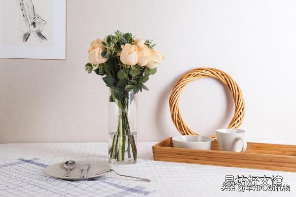 送母亲比较实用的礼物一览 母亲生日礼物送什么好