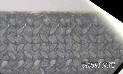 教你一招最有效的解决方法 苹果7声音越来越小怎么办