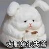 10秒教你将视频转换成音频保存 如何将视频导出为音频文件