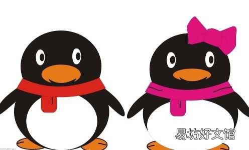 查询QQ登录记录的位置和方法介绍 QQ登录记录在哪里查找