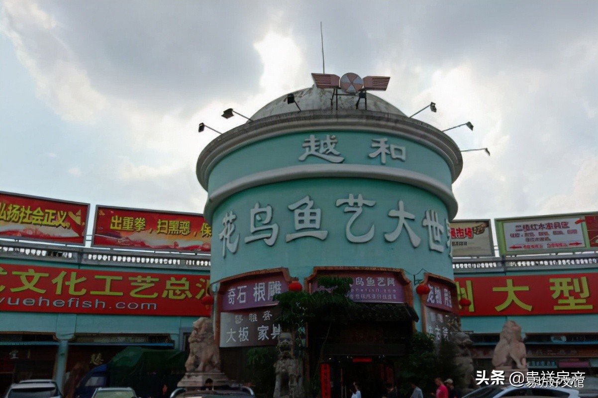 十里河花鸟鱼虫市场地址路线攻略 全国十大花鸟鱼虫市场有哪些