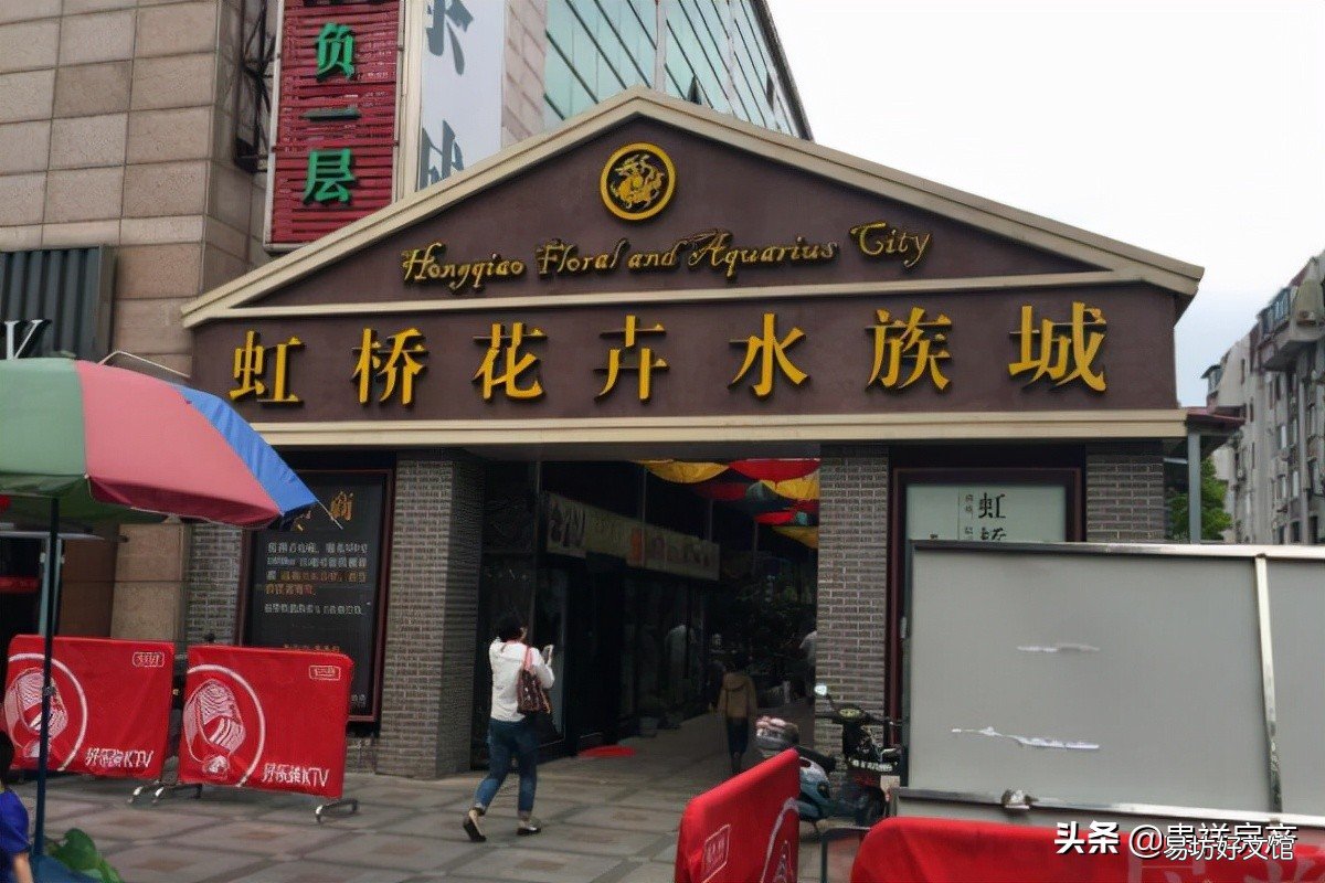 十里河花鸟鱼虫市场地址路线攻略 全国十大花鸟鱼虫市场有哪些