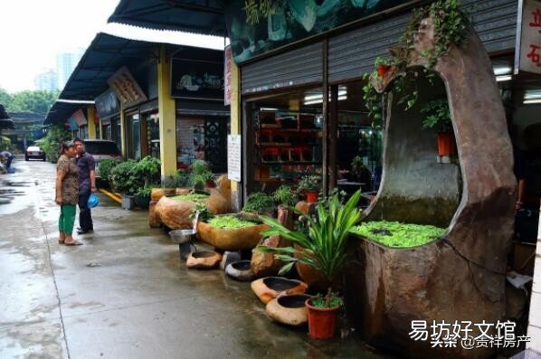 十里河花鸟鱼虫市场地址路线攻略 全国十大花鸟鱼虫市场有哪些