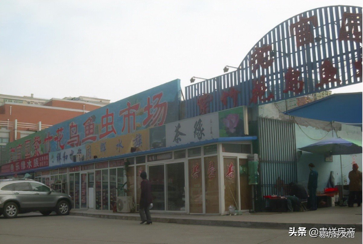 十里河花鸟鱼虫市场地址路线攻略 全国十大花鸟鱼虫市场有哪些