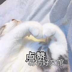 手机录屏的5种正确打开方式 怎么录制手机屏幕视频