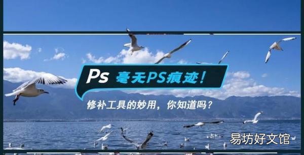 手把手教你Ps修复工具的操作教程 PS修补工具使用技巧