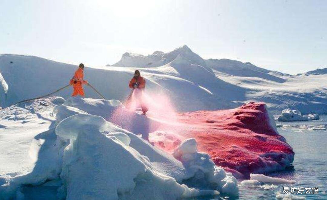 揭秘2020预言地震始末 2020预言超大地震地震